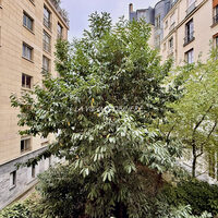 Image du bien en visite référence 77323